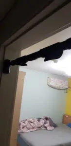 구매평 사진