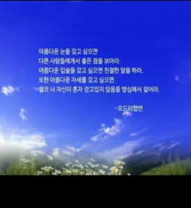 구매평 사진