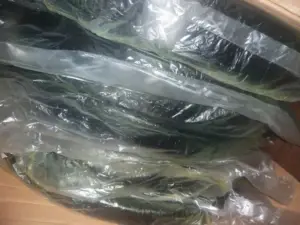 구매평 사진