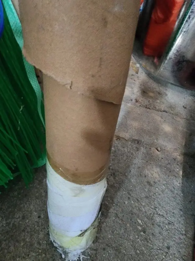 구매평 사진